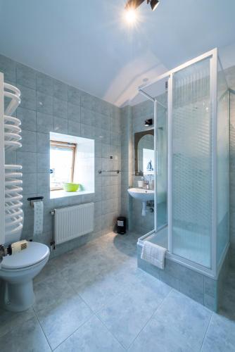 a bathroom with a shower and a toilet and a sink at Lake & City Apartments in Giżycko