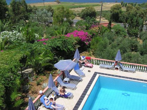 a group of people sitting in lawn chairs near a swimming pool at Knossos in Panormos Rethymno
