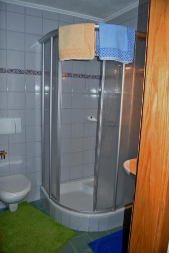 a bathroom with a shower with a sink and a toilet at Treindlhof in Fuschl am See