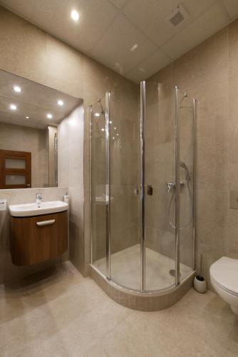 a bathroom with a shower and a sink and a toilet at Apartment Karla Capka Street in Karlovy Vary