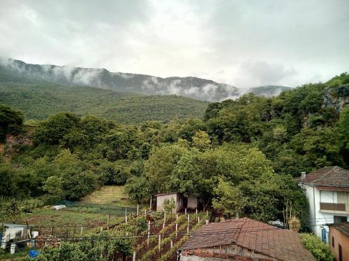 a view of a vineyard with mountains in the background at Lile Pestani Accommodation in Peštani