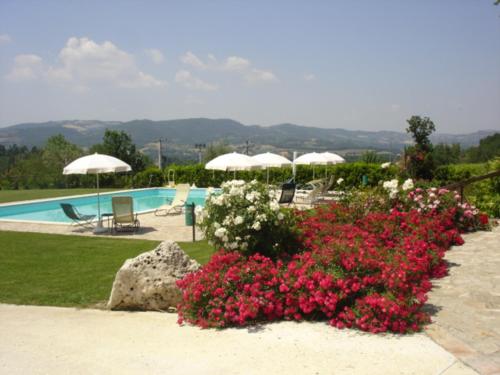 Gallery image of Agriturismo Borgo Montecucco in Todi