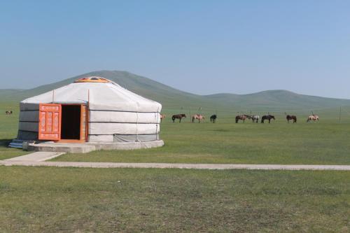 Nomad Horse Camp في Nalayh: يورت مع مجموعة من الخيول في الميدان