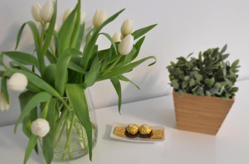 two plants and a vase with white flowers and a box of dates at Munich Aparthotel in Munich