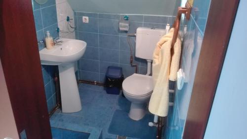 ラシュノフにあるCasa de oaspeți " Rodica"のバスルーム(トイレ、洗面台付)