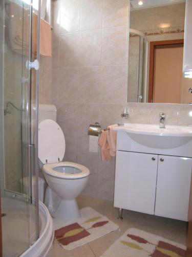 a bathroom with a toilet and a sink and a shower at Apartments Stengl in Rab