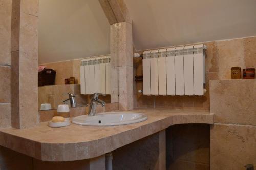 a bathroom with a sink and a mirror at Villa Zabljak in Žabljak