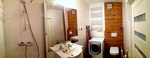 コウォブジェクにあるApartament Solna 106のバスルーム(シャワー、洗面台、トイレ付)