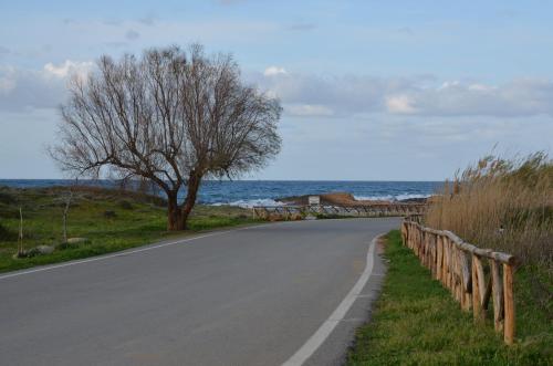 a road next to the ocean with a tree at Olympus Studios in Malia
