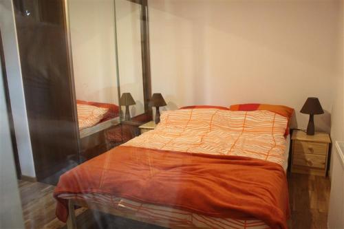 ナウェンチュフにあるWilla Widok - Apartament Naleczowのベッドルーム(ベッド1台、大きな鏡付)