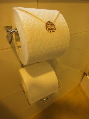 a roll of toilet paper hanging on a wall at Cuyinco Domos in Riñinahue