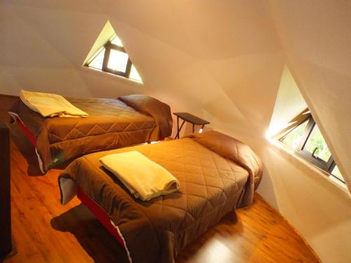 Легло или легла в стая в Cuyinco Domos