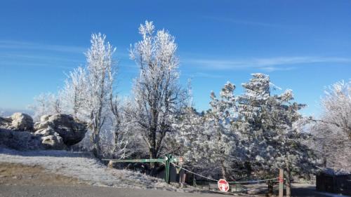 a group of trees covered in snow with a stop sign at Yellow Dreamhouse in Postojna