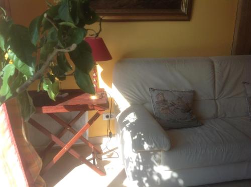 a living room with a white couch and a table with a plant at Au Fond du Jardin Maison d'hôtes in Saint-Saëns