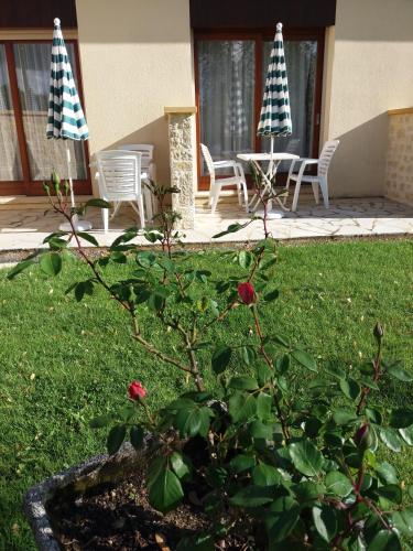 a garden with chairs and a table and a flower at Hôtel Le Mas del Pechs - Chambres avec terrasse in Sarlat-la-Canéda