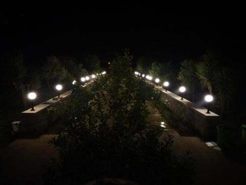 Κήπος έξω από το B&B Le Due Cisterne di Vizzino Gianna