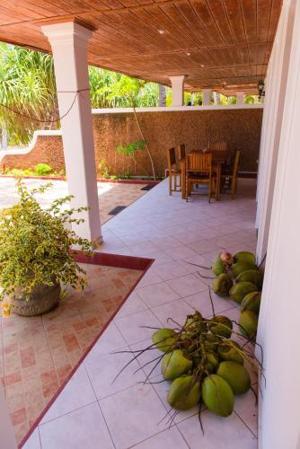 a patio with a bunch of green bananas on the ground at Czech House in Tangalle