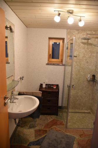 a bathroom with a sink and a shower at Ferienwohnung Inzlingen in Inzlingen