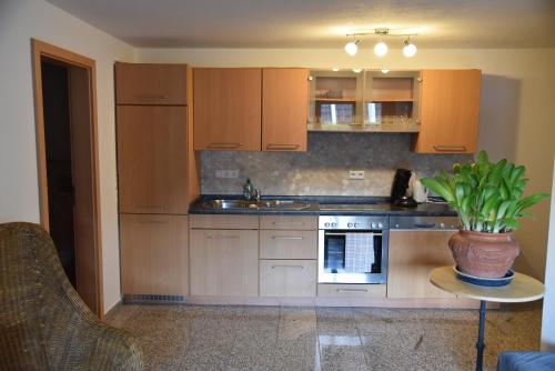 uma cozinha com armários de madeira e uma planta sobre uma mesa em Ferienwohnung Inzlingen em Inzlingen