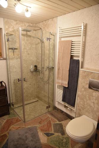 インツリンゲンにあるFerienwohnung Inzlingenのバスルーム(ガラス張りのシャワー、トイレ付)