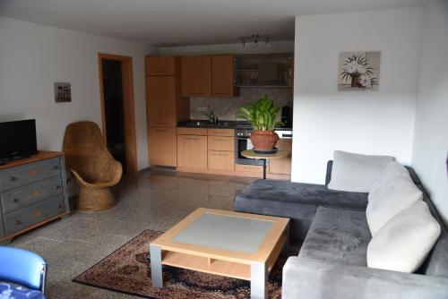 Ferienwohnung Inzlingen في Inzlingen: غرفة معيشة مع أريكة وطاولة قهوة