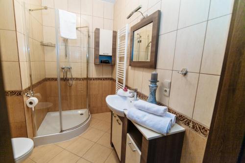ポラニツァ・ズドルイにあるWilla Pan Tadeuszのバスルーム(シンク、シャワー、トイレ付)