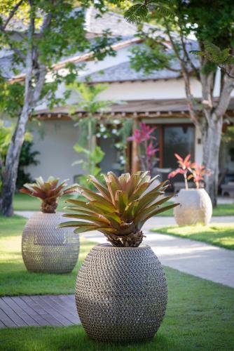 Taman di luar Campo Bahia Hotel Villas Spa