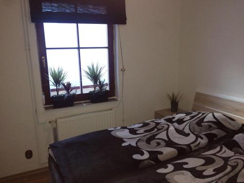 1 dormitorio con 1 cama y una ventana con plantas en Apartman Za Potokem, en Luhačovice