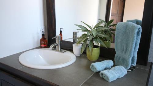 un baño con encimera con fregadero y maceta en The Guest Suites at Manana Madera, en Boquete