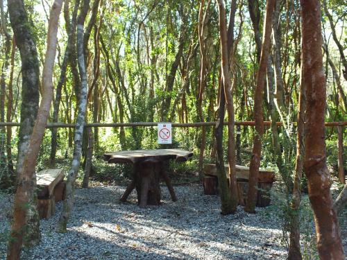 a picnic table in the middle of a forest at Cuyinco Domos in Riñinahue