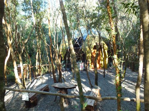 a picnic table in the middle of a forest of trees at Cuyinco Domos in Riñinahue