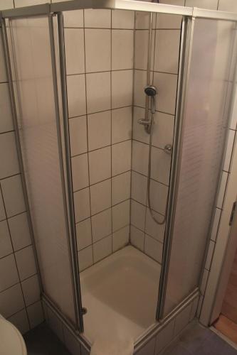 a shower with a glass door in a bathroom at Hatzenporter Paradies in Hatzenport