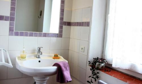 a bathroom with a sink and a mirror at Les Tilleuls d'Elisée in Vaison-la-Romaine