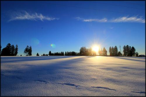 a large snow covered field with the sun in the sky at Oduo in Sart-lez-Spa