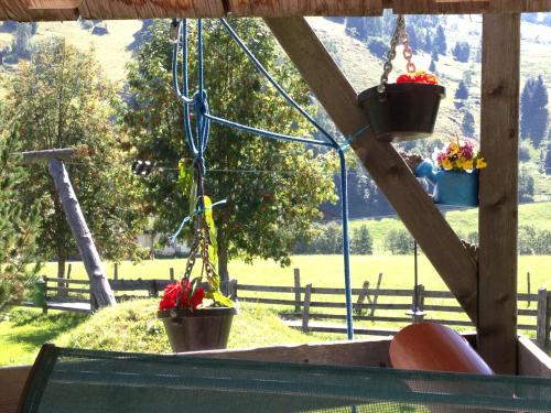 a view of a field from a porch with flower pots at Apartment Gästehaus Luggau in Rauris