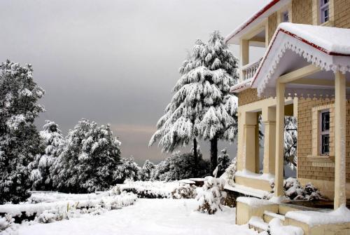 a house covered in snow next to a tree at Tree of Life Grand Oak Manor Binsar in Binsar