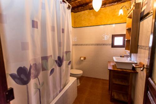 a bathroom with a sink and a toilet and a shower curtain at El castanar in San Esteban de la Sierra