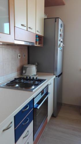 Apartment Vladanにあるキッチンまたは簡易キッチン