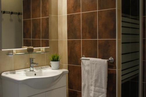 une salle de bain avec un lavabo et un miroir dans l'établissement Le Domaine du Thronnet, à Figanières