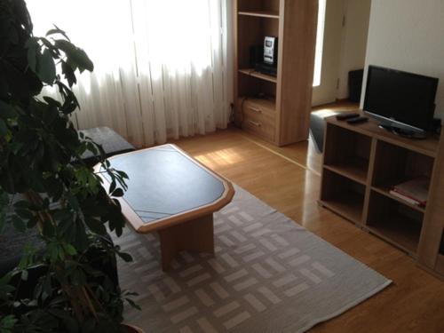 TV a/nebo společenská místnost v ubytování Gästehaus und Fewo Lamm Garni