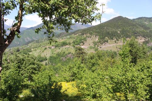 a view of a valley with trees and mountains at Luka House in Akhaldaba