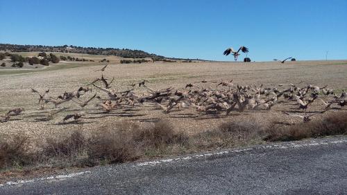 Φυσικό τοπίο κοντά σε αυτό το πανδοχείο