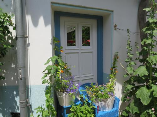 a door with potted plants in front of a house at Stieglerhof KG in Illmitz