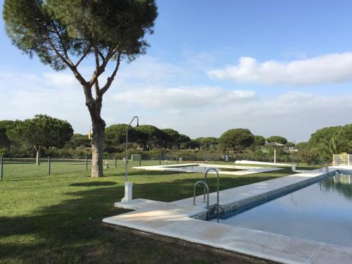 una piscina con un árbol en un parque en Apartamento Retama Golf I, en Chiclana de la Frontera