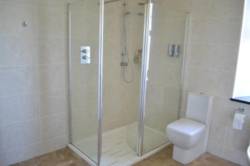 a bathroom with a shower and a toilet at Burnside Farm B & B in Girvan