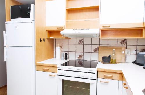 Η κουζίνα ή μικρή κουζίνα στο Briet Apartments Akureyri