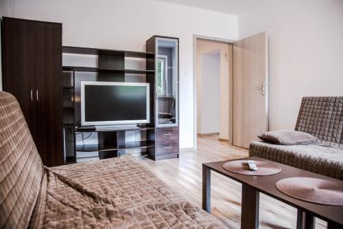 een woonkamer met een bank en een televisie bij Apartament Centrum Harcerska in Gdynia
