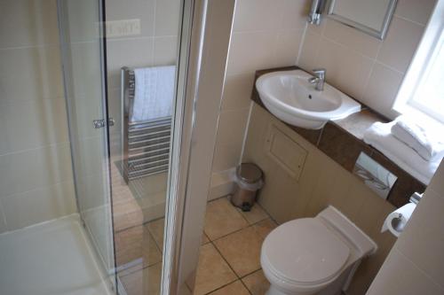 a bathroom with a shower and a toilet and a sink at Narrowboat at Weedon in Weedon Bec