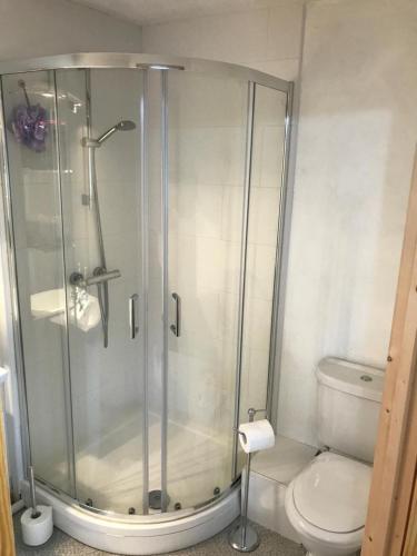 a bathroom with a shower and a toilet at HP Bed and Breakfast in Congleton