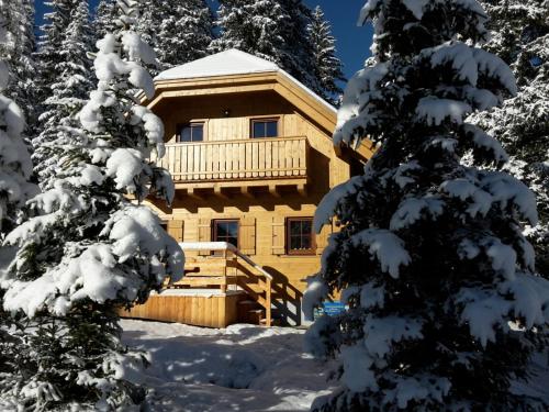 Almhaus & Almchalet Flattnitz durante el invierno
